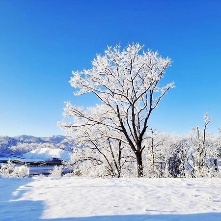 Sokcho Ulsanbawi Bed And Breakfast المظهر الخارجي الصورة