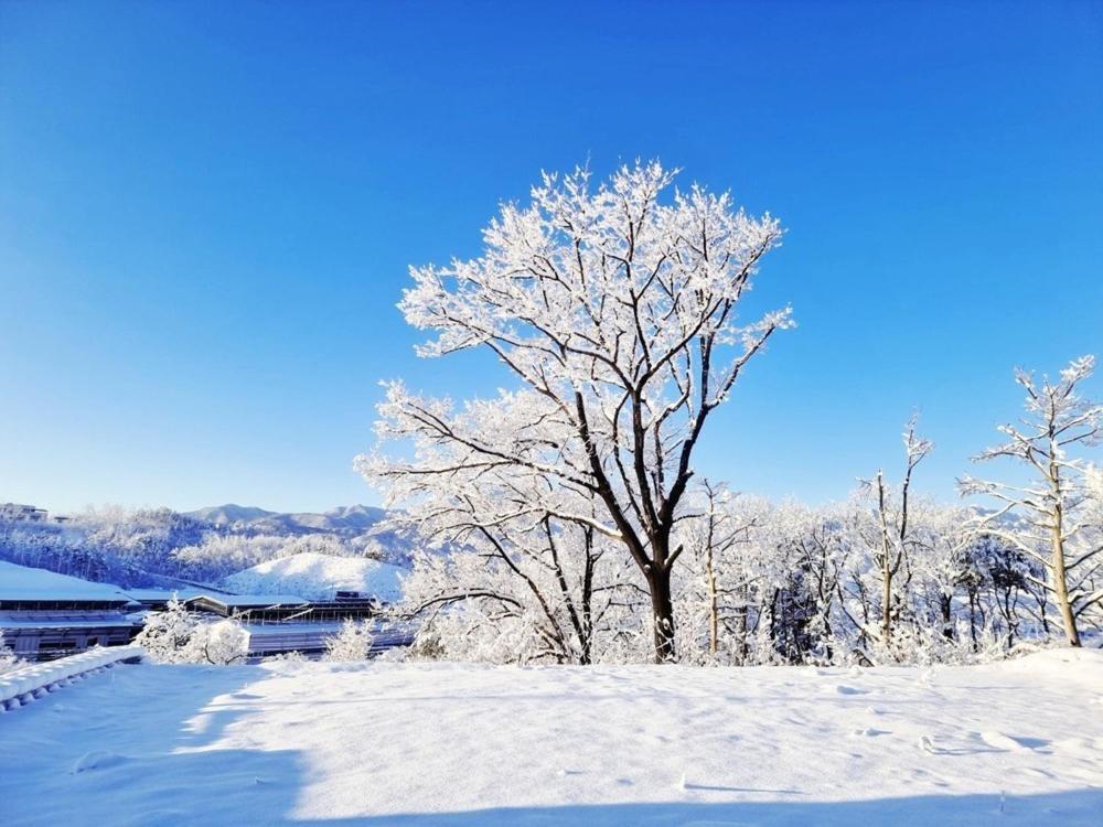 Sokcho Ulsanbawi Bed And Breakfast المظهر الخارجي الصورة